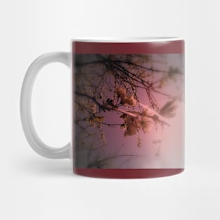 cherry blossoms in the sun, red tint Mug